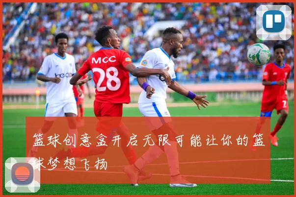 篮球创意盒开启无限可能让你的篮球梦想飞扬
