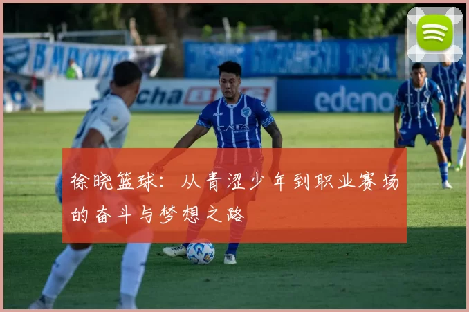 徐晓篮球：从青涩少年到职业赛场的奋斗与梦想之路